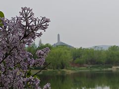 -北坞公园
