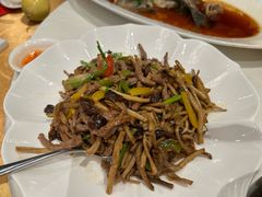 -棕榈泉国际高尔夫学院