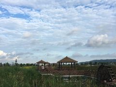 -漩门湾国家湿地公园