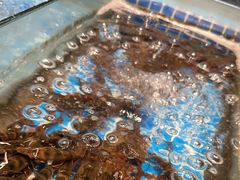 -争先鲜·蒸汽海鲜自助·鲜切牛肉