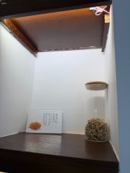 -梵茜儿·头道汤养生馆