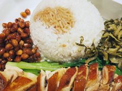 香港豉油鸡饭-金戈戈香港豉油鸡(皇庭广场店)