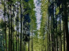-瓦屋山景区