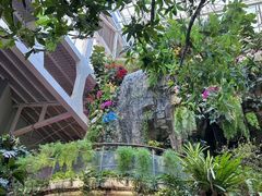 -正佳雨林生态植物园