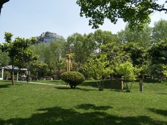-唐城墙遗址公园