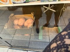 -金蜗牛