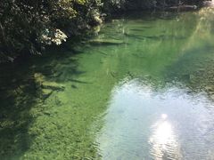 -龙湾潭国家森林公园