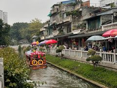 -荔湾湖公园