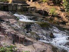 -广州白江湖森林公园