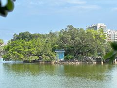 -OLD TREE老树咖啡·西餐厅(台山人工湖店)