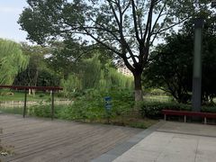 -中央公园(苏州工业园区)