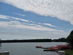 -上海海湾国家森林公园