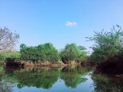 -会仙湿地