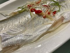 白水鱼-太湖饭店·寄畅轩中餐厅