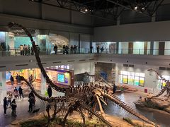 -自贡恐龙博物馆