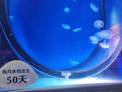 -南昌融创海世界