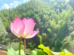 -将军关探险漂流