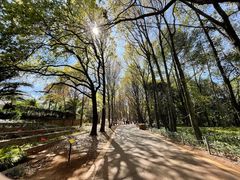 -昆明植物园