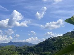 -风云岭森林公园