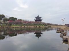 -上海海湾国家森林公园