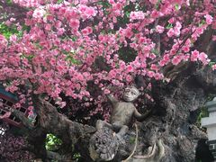 -德百温泉大观园生态餐厅(夏津店)