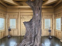 -天姥山景区