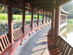 -龙头寺公园