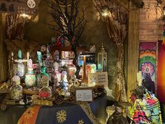 -雪灵魔法世界SHELLY’S TAROT(大良桂畔里店)