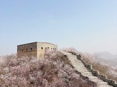 -龙泉峪长城