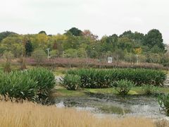 -两河城市森林公园