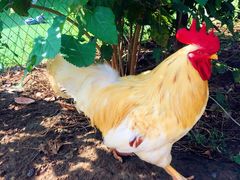 -北京宽沟会议中心