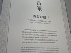 -洛阳古墓博物馆