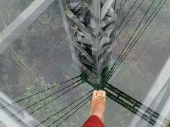 -呀诺达热带雨林