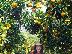 -滨江森林公园-真人CS野战场