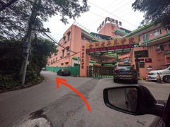 -南山植物园