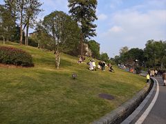 -枫香湖儿童公园