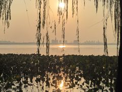 -阳澄湖费尔蒙酒店