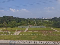 -佛手湖郊野公园