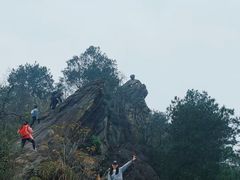-南山植物园