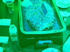 -小舅母子烤鱼(天生城店)