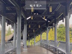 -眉山湿地公园(东坡区)