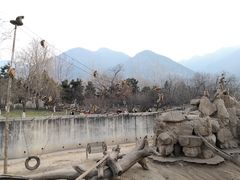 -西安秦岭野生动物园