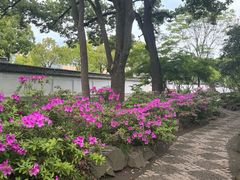 -秋霞圃