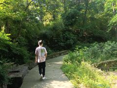 -铁山坪森林公园