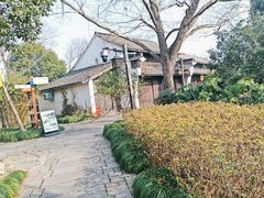 -西溪国家湿地公园