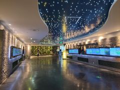 -SFC动漫主题影院(美罗城店)