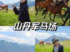 -山丹皇家马场