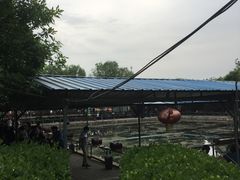 门面-北京上庄水库尚野露天户外自助烧烤