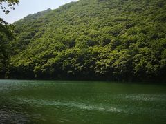 -龙道沟景区