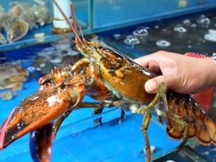 -船梆煮•蒸汽海鲜·炉火烤肉(五四广场店)